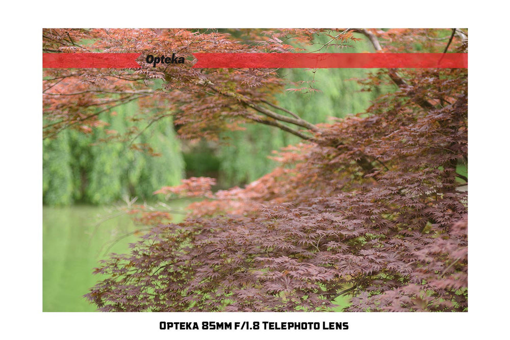 Opteka 85mm f/1.8 Manual Focus Aspherical Medium Telephoto Lens for Canon EOS 80D, 70D, 60D, 60Da, 50D, 7D, 6D, 5D, 5DS, 1Ds, Rebel T6s, T6i, T6, T5i, T5, T4i, T3i, T3, T2i and SL1 Digital SLR Cameras